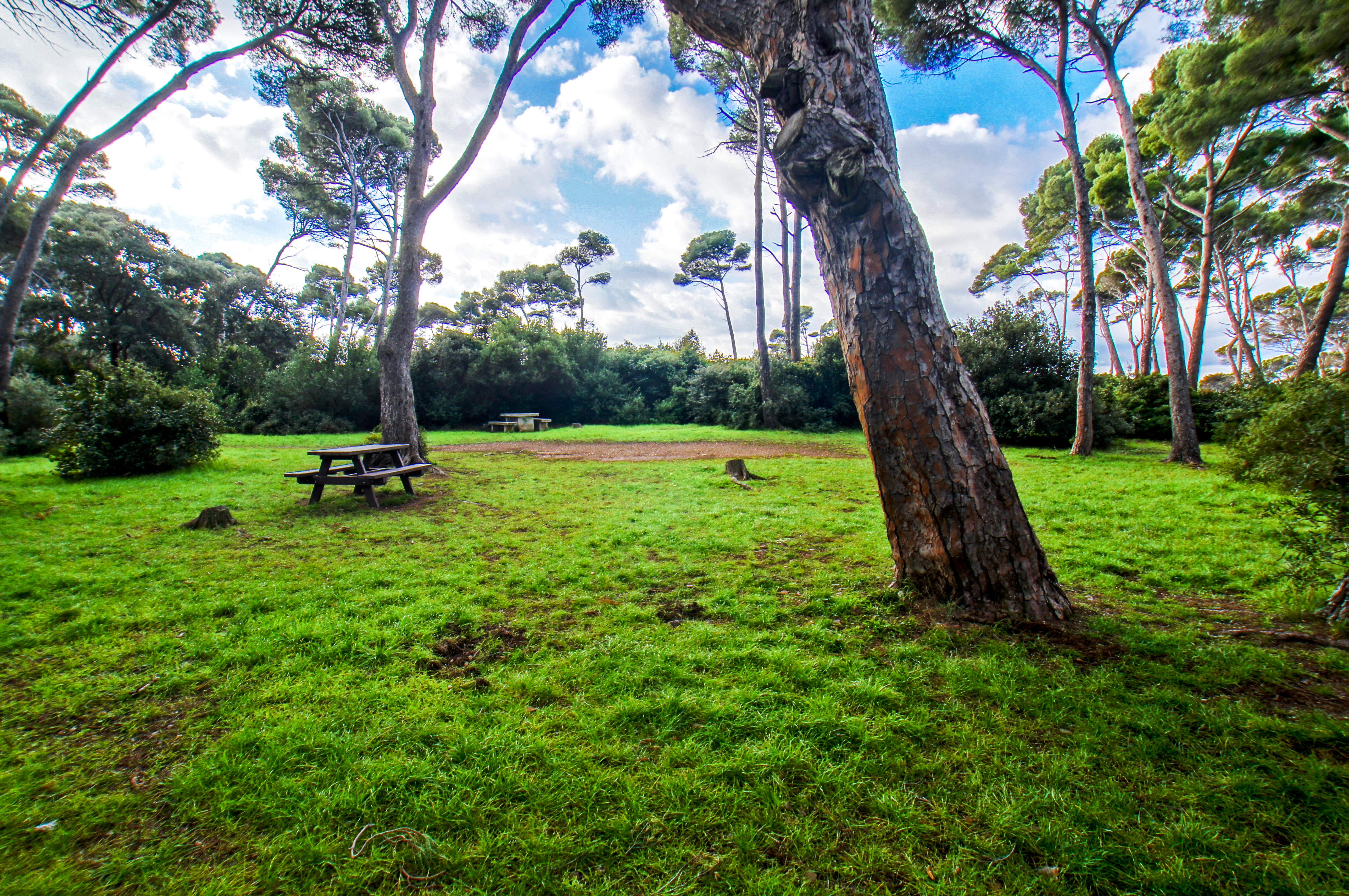 Francia - Var -  Six-Fours-les-Plages - Spiaggia du Mont-Salva
