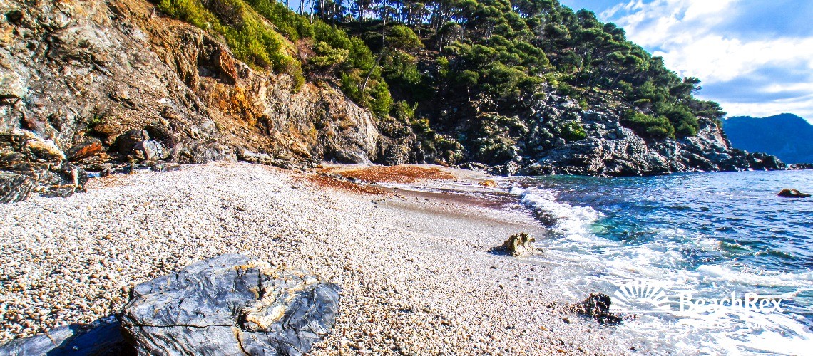 Francia - Var -  Six-Fours-les-Plages - Spiaggia du Mont-Salva