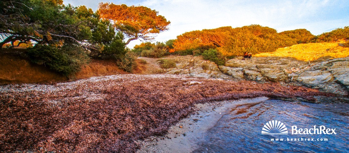 Frankreich - Var -  Six-Fours-les-Plages - Strand du Abrielle