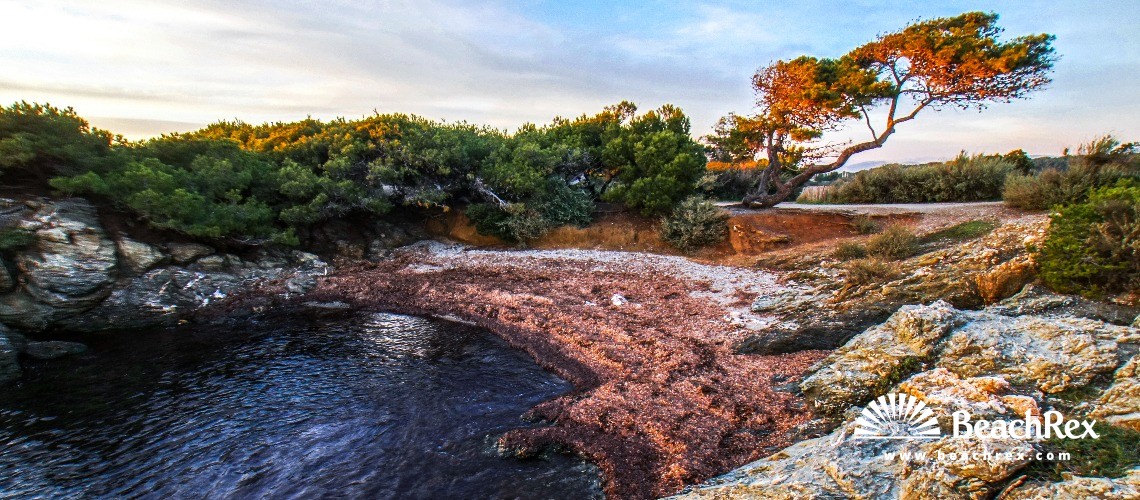Frankreich - Var -  Six-Fours-les-Plages - Strand du Abrielle