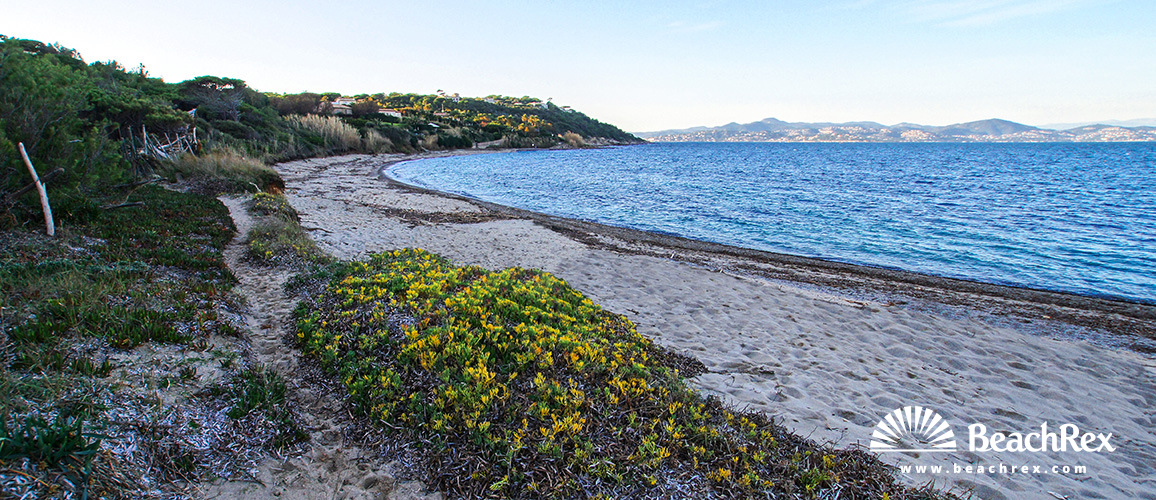 France - Var -  Saint-Tropez - Beach de la Moutte
