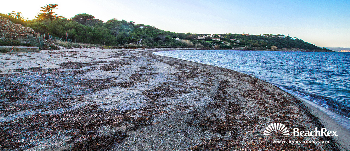 France - Var -  Saint-Tropez - Beach de la Moutte