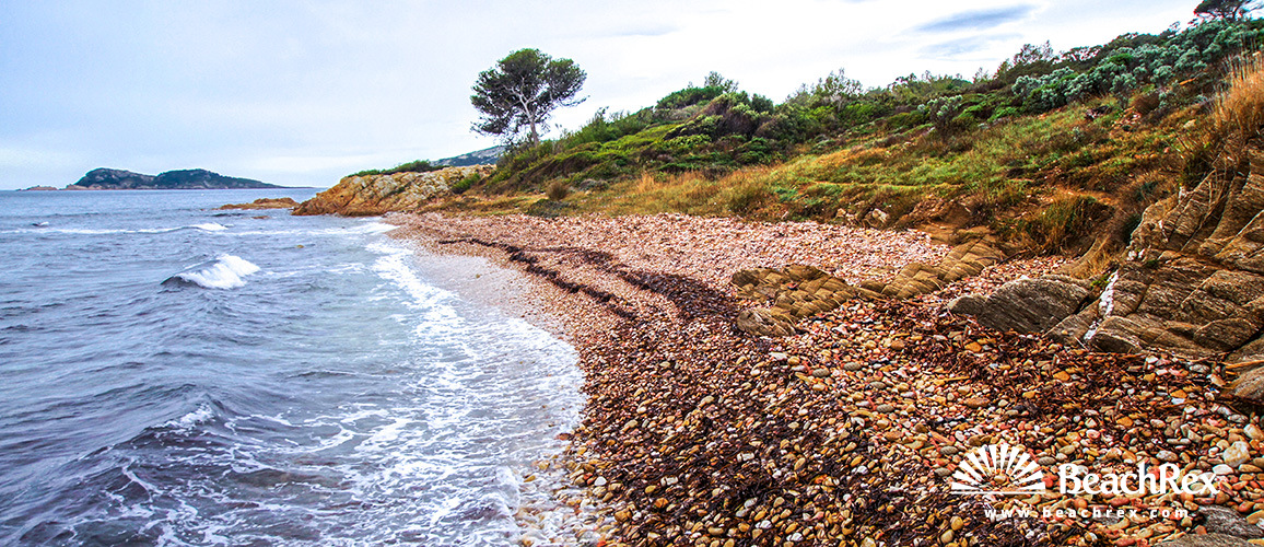 France - Var -  Ramatuelle - Beach de la Quessine