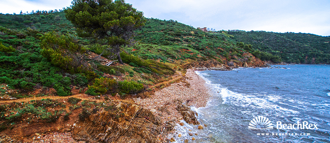 France - Var -  Ramatuelle - Beach de la Quessine