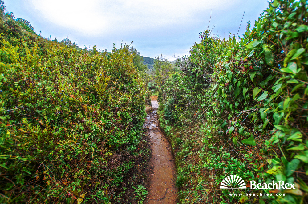 France - Var -  Ramatuelle - Beach de la Quessine
