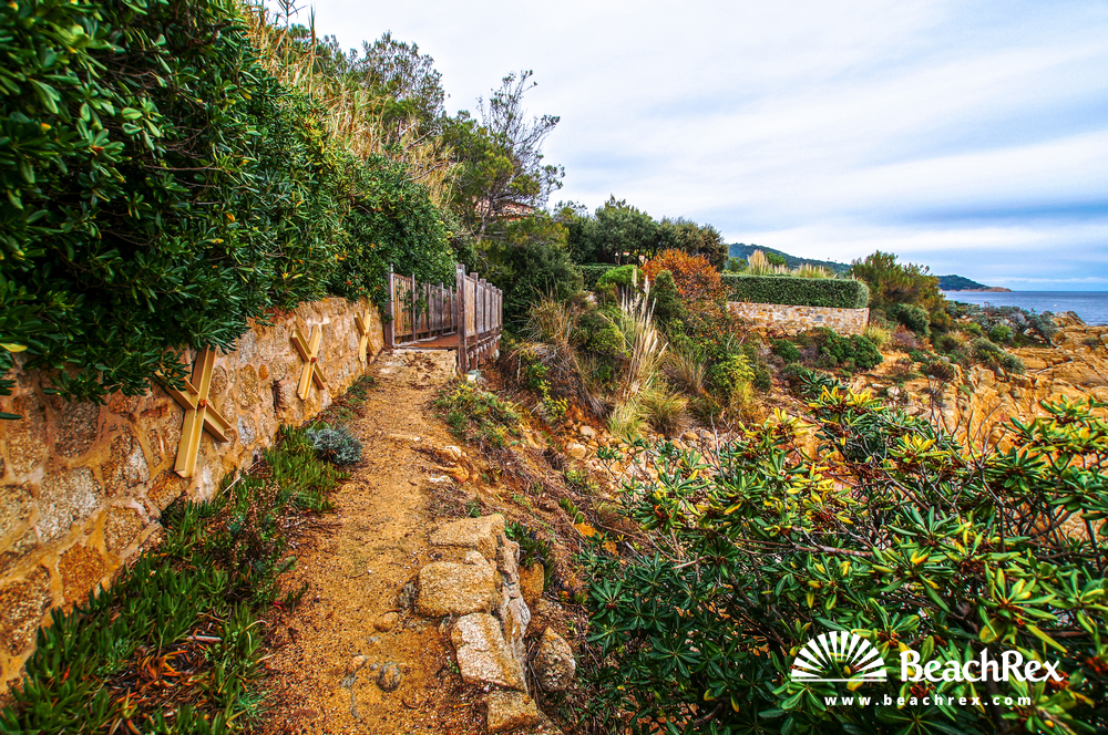 France - Var -  Ramatuelle - Beach de la Quessine