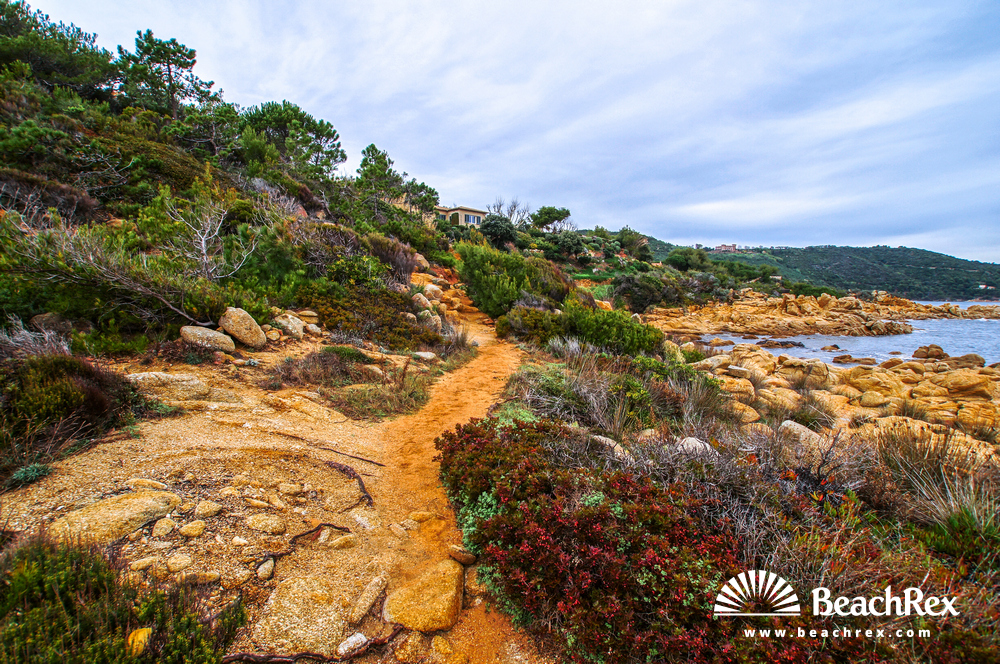 France - Var -  Ramatuelle - Beach de la Quessine