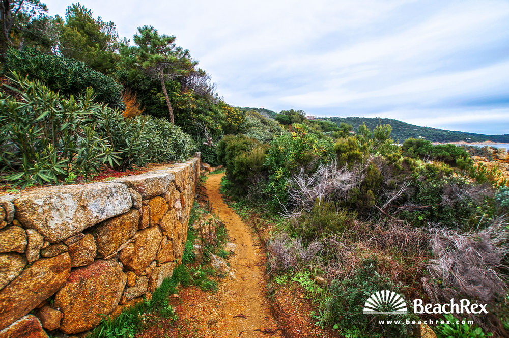 France - Var -  Ramatuelle - Beach de la Quessine