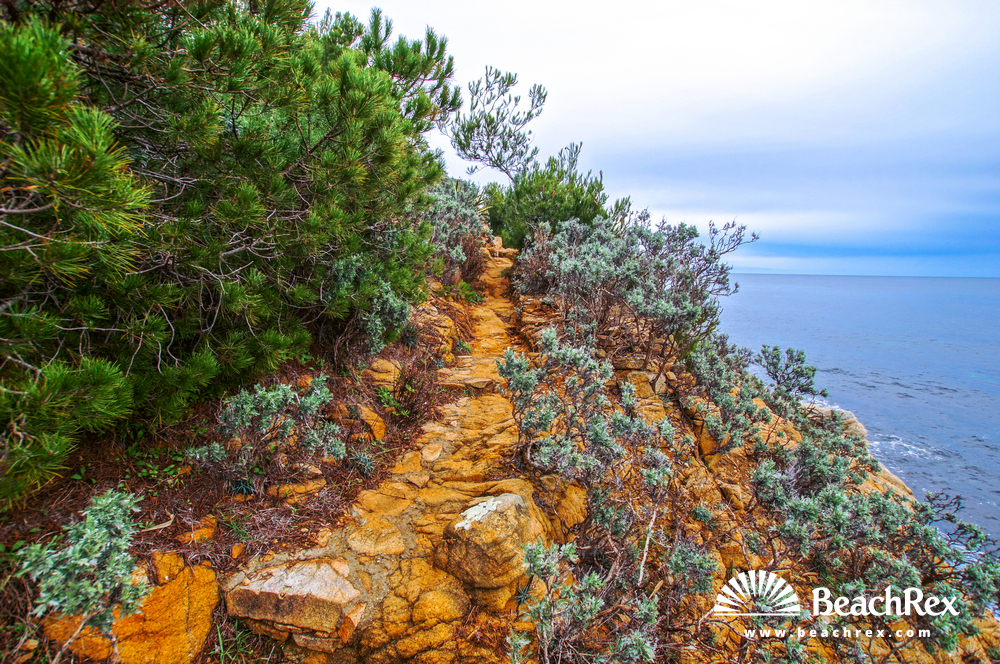 France - Var -  Ramatuelle - Beach de la Quessine