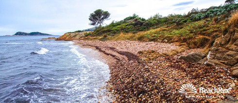 france - Var -  Ramatuelle - Plage de la Quessine