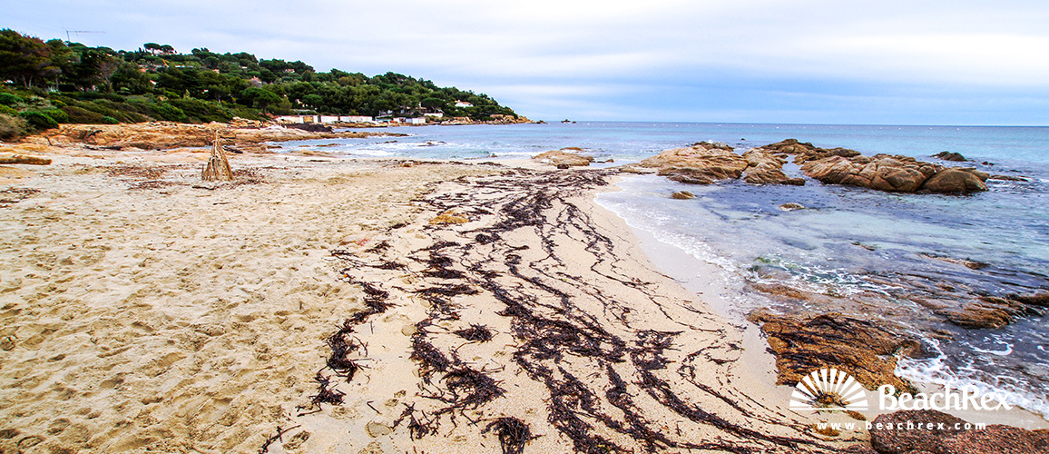 France - Var -  Ramatuelle - Beach de l'Escalet