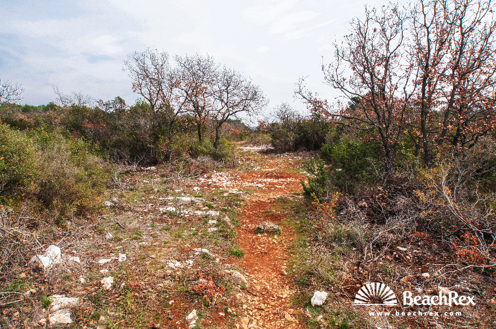 Croatie - Dalmatie  Zadar -  Biograd na Moru - Plage Lumbrak