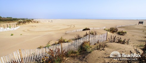 Italy - Veneto -  Ca' Savio - Beach Punta Sabbioni