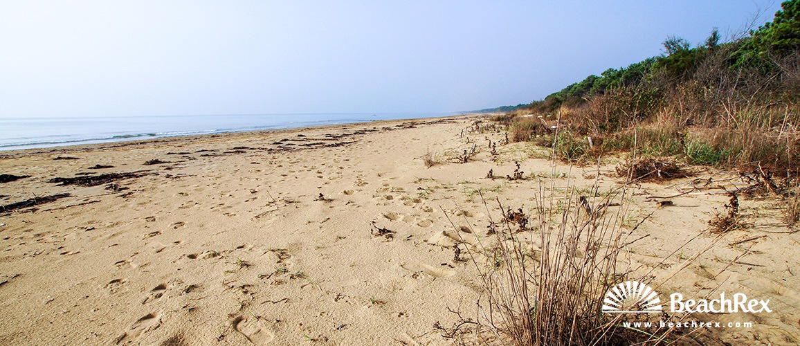 Italy - Veneto -  Brussa - Beach Vallevecchia