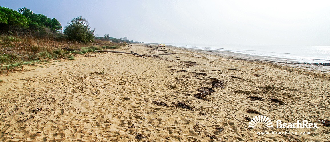 Italy - Veneto -  Brussa - Beach Vallevecchia