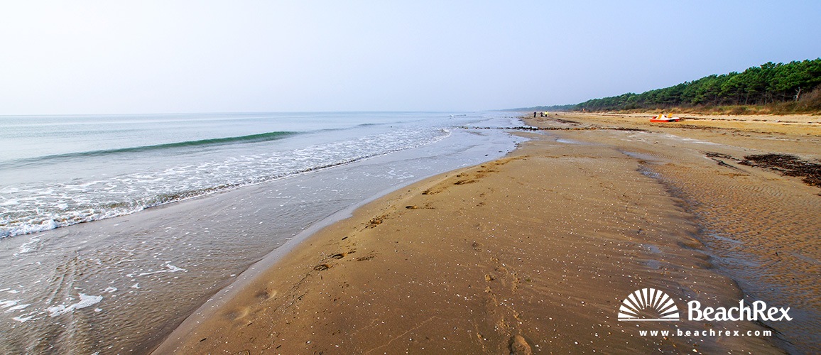 Italy - Veneto -  Brussa - Beach Vallevecchia