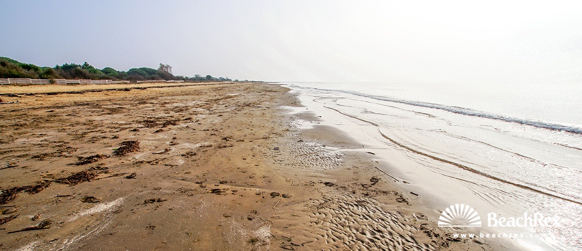Italy - Veneto -  Brussa - Beach Vallevecchia