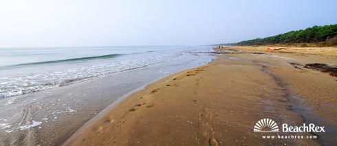 Italy - Veneto -  Brussa - Beach Vallevecchia