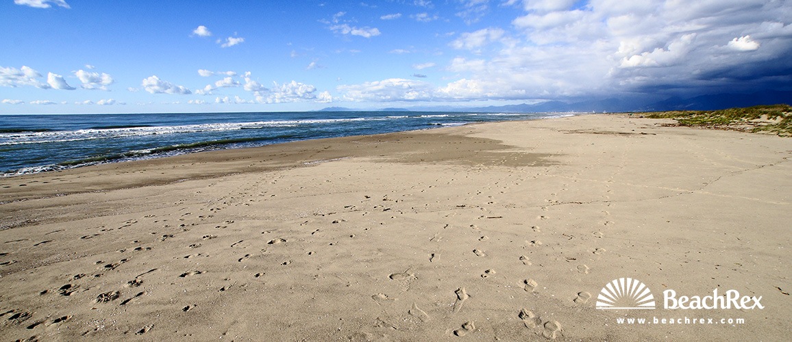 Italia - Toscana -  Torre del Lago - Playa Marina di Vecchiano