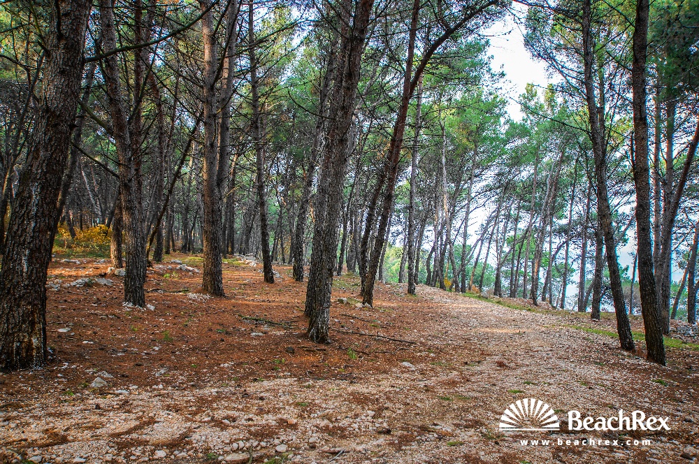 Croatia - Istra -  Savudrija - Beach Kanegra
