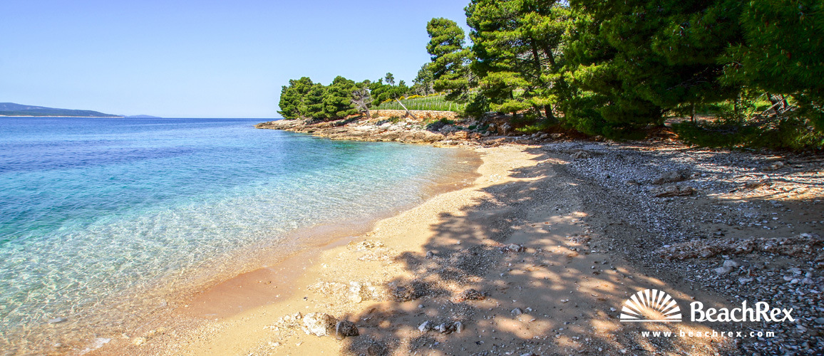 Croatie - Dalmatie  Split - Ile Brač -  Bol - Plage Jelena