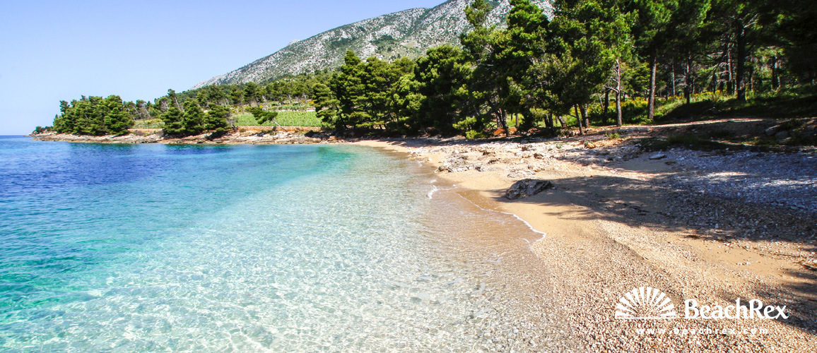 Croatie - Dalmatie  Split - Ile Brač -  Bol - Plage Jelena