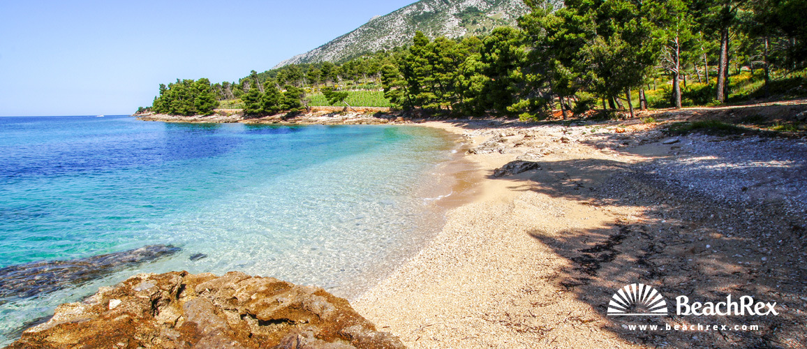 Croatie - Dalmatie  Split - Ile Brač -  Bol - Plage Jelena