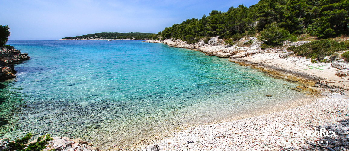 Croatie - Dalmatie  Split - Ile Brač -  Milna - Plage Koromaslinova