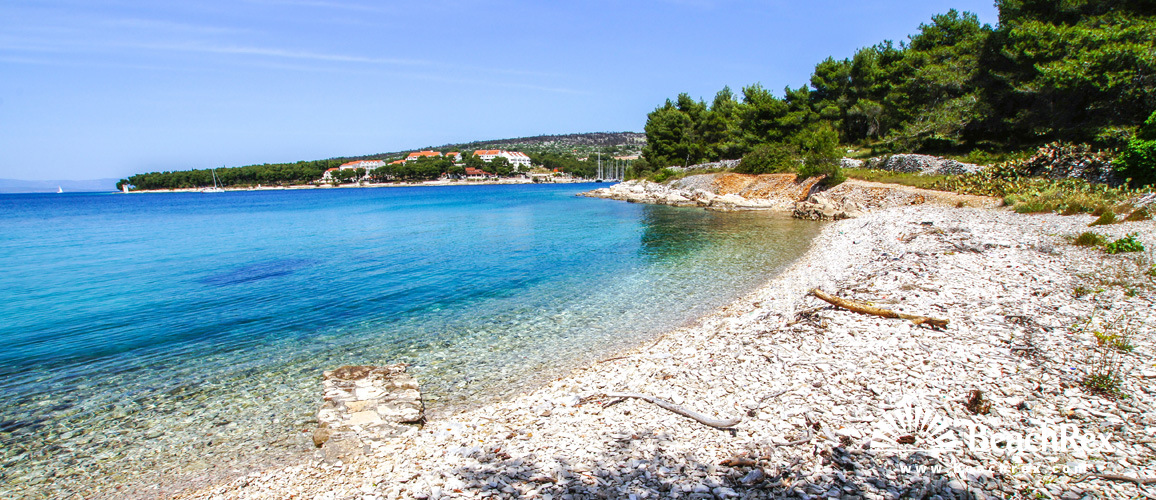 Croatia - Dalmatia  Split - Island Brač -  Milna - Beach Pasika