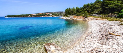 Croatie - Dalmatie  Split - Ile Brač -  Milna - Plage Pasika