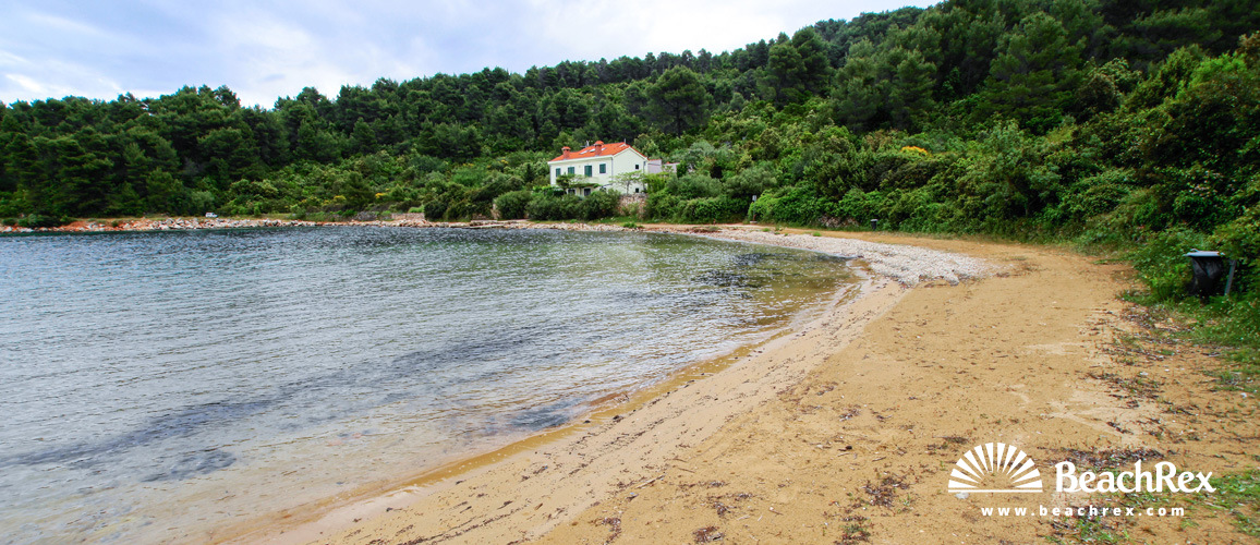 Croatie - Dalmatie  Split - Ile Hvar -  Stari Grad - Plage Maslinica