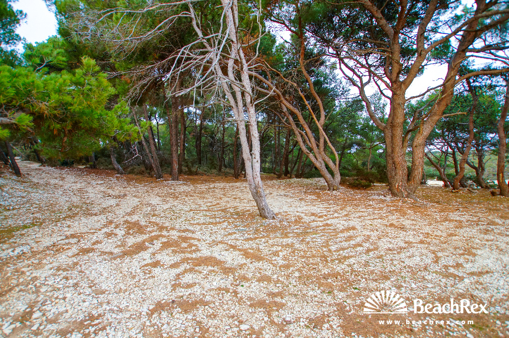 Croatie - Kvarner - Ile Lošinj -  Ćunski - Plage Egerija
