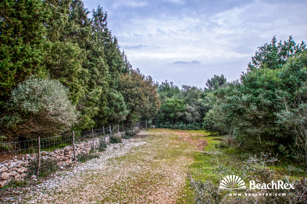Croatia - Kvarner - Island Lošinj -  Ćunski - Beach Zabodarski