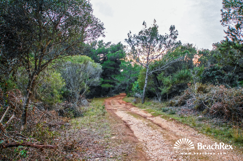 Croatia - Kvarner - Island Lošinj -  Ćunski - Beach Zabodarski