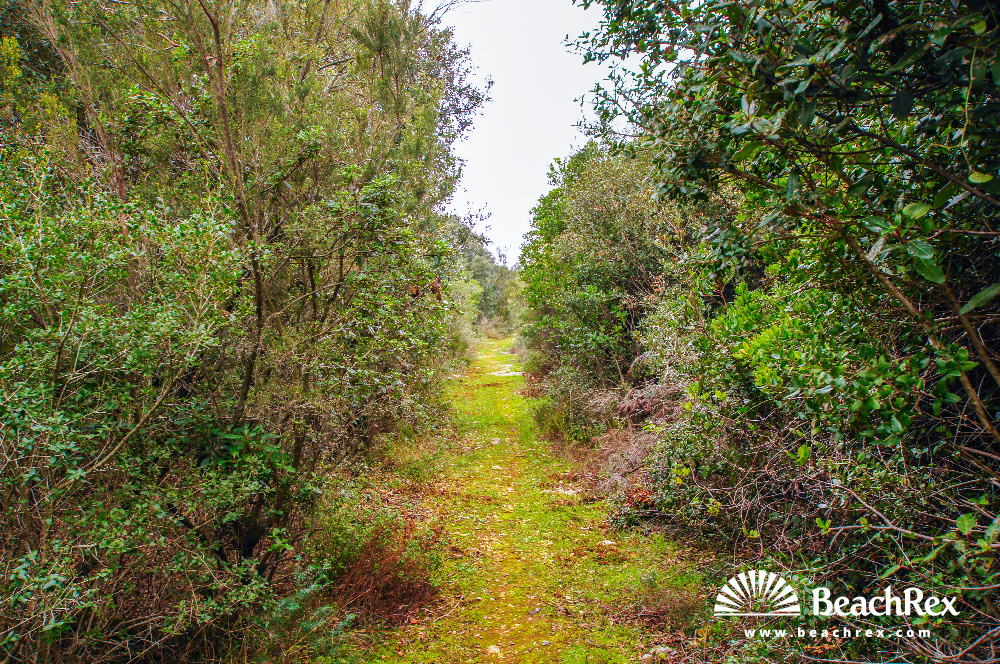 Croatie - Kvarner - Ile Lošinj -  Ćunski - Plage Liska Slatina