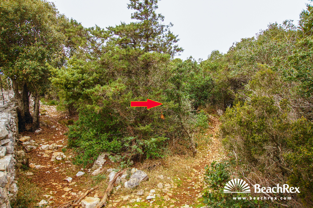 Croatia - Kvarner - Island Lošinj -  Ćunski - Beach Bijela