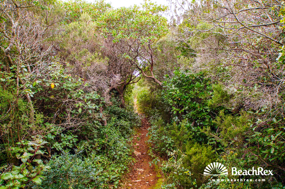 Croatia - Kvarner - Island Lošinj -  Ćunski - Beach Bijela