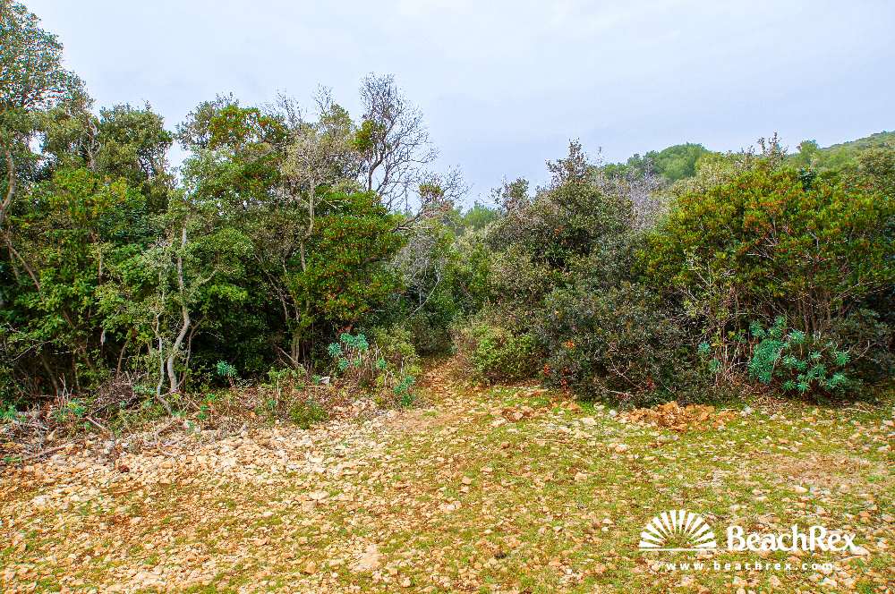 Croatia - Kvarner - Island Lošinj -  Ćunski - Beach Studenčić