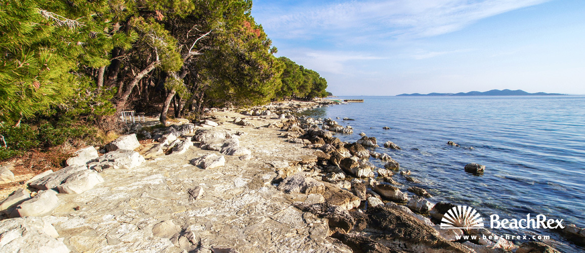 Croazia - Dalmazia  Zadar -  Pakoštane - Pine spiaggia
