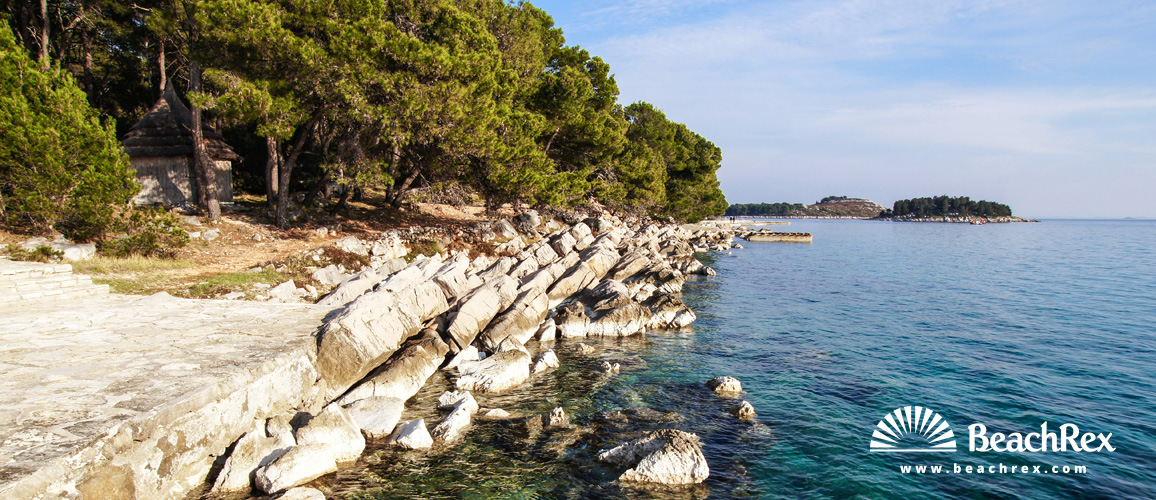 Croazia - Dalmazia  Zadar -  Pakoštane - Pine spiaggia