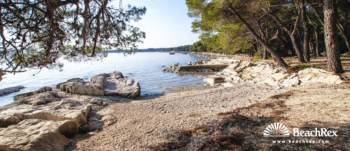 Croazia - Dalmazia  Zadar -  Pakoštane - Pine spiaggia