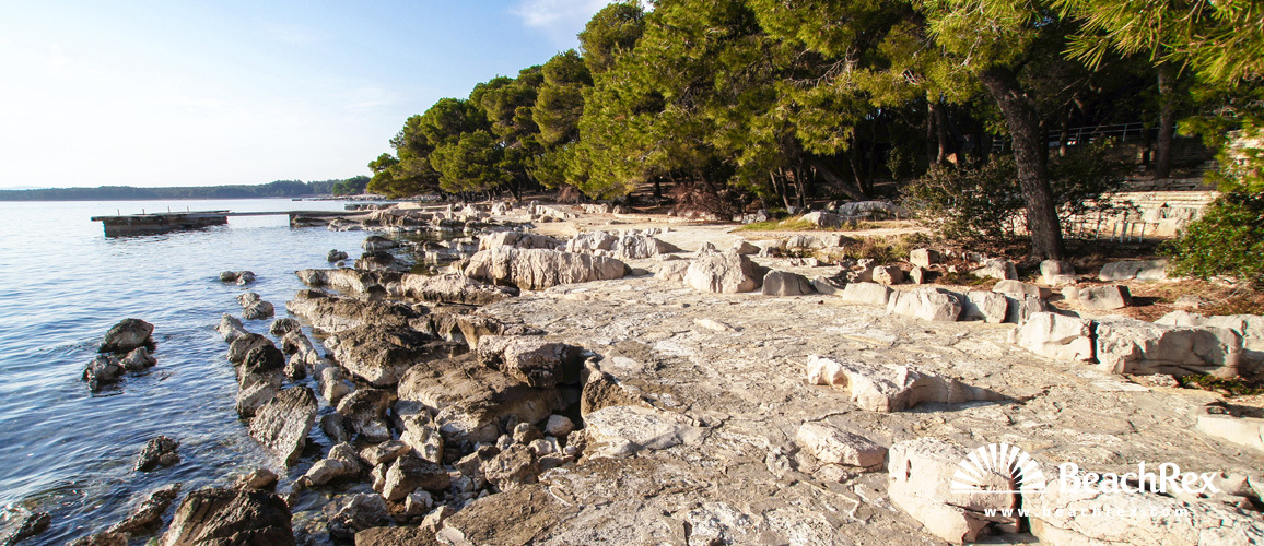 Croazia - Dalmazia  Zadar -  Pakoštane - Pine spiaggia