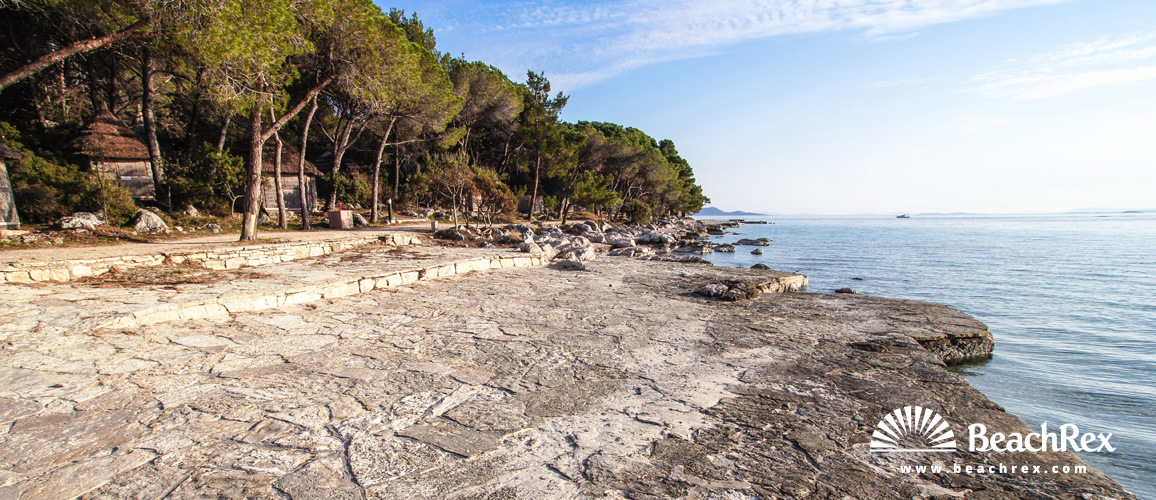 Croazia - Dalmazia  Zadar -  Pakoštane - Pine spiaggia
