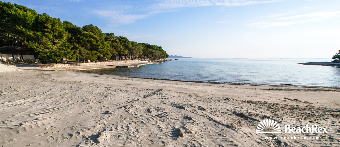 Croazia - Dalmazia  Zadar -  Pakoštane - Pine spiaggia