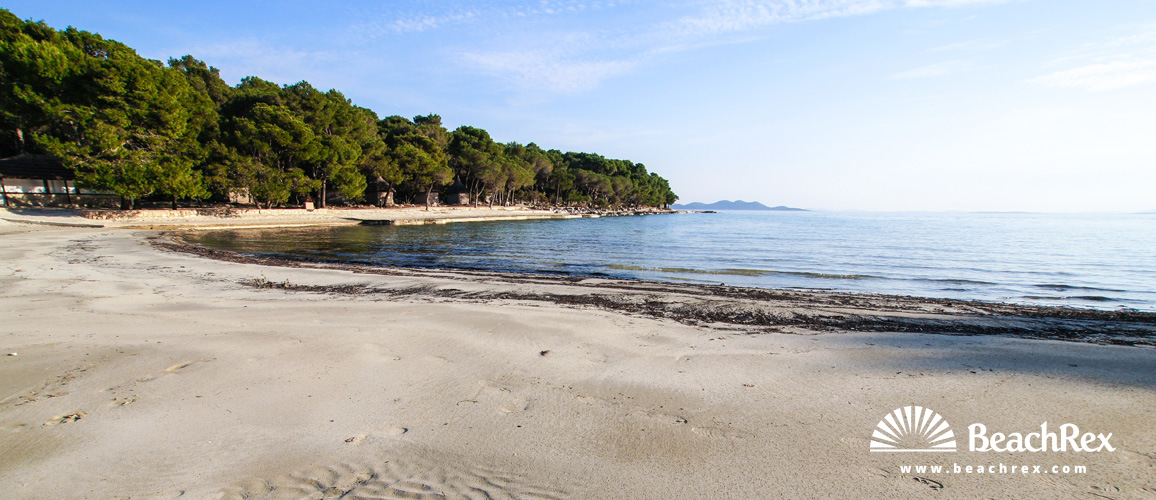 Croazia - Dalmazia  Zadar -  Pakoštane - Pine spiaggia