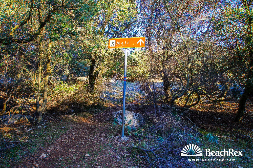 Croatie - Kvarner - Ile Cres -  Belej - Plage Meli