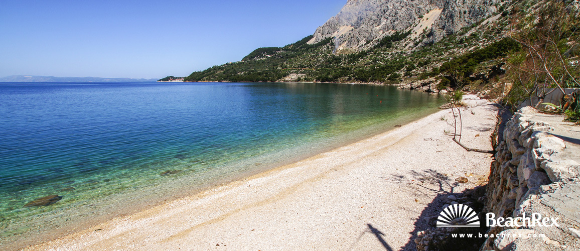 Croatia - Dalmatia  Split -  Drašnice - Beach Rat