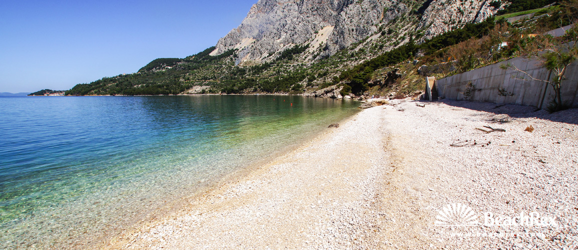 Croatia - Dalmatia  Split -  Drašnice - Beach Rat