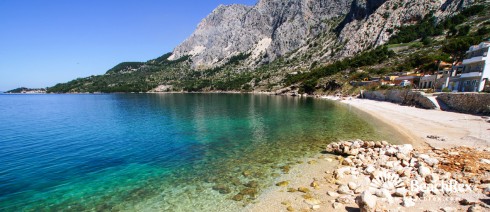 Croatia - Dalmatia  Split -  Drašnice - Beach Rat