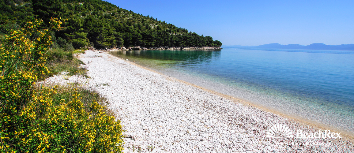 Croatie - Dalmatie  Split -  Drvenik - Plage Vira